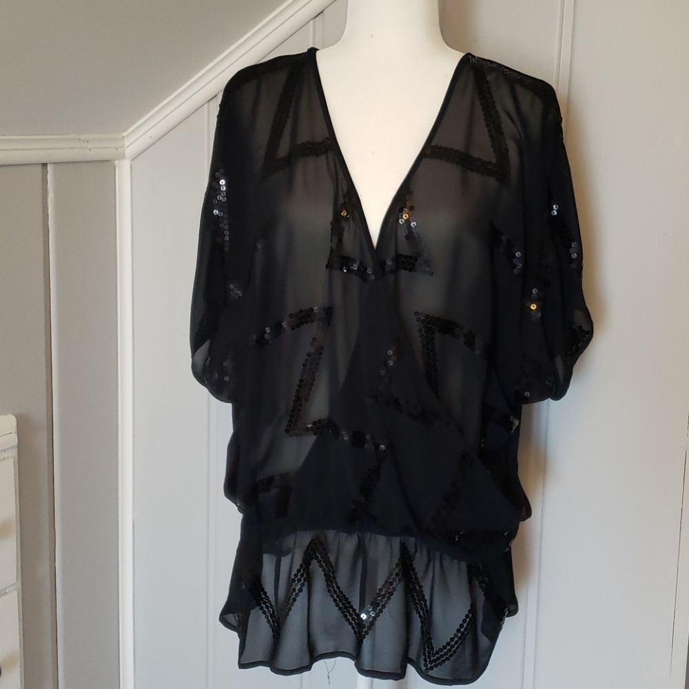 Lane Bryant Sheer Sequin Top (size: 14/16)